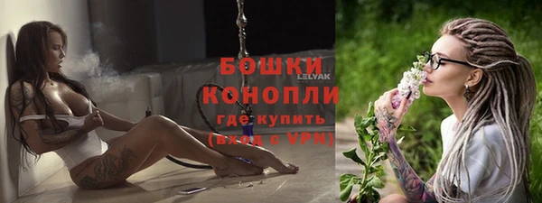 спиды Арсеньев