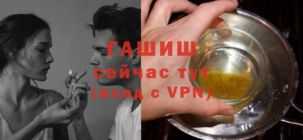 индика Коряжма