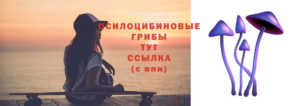спиды Арсеньев