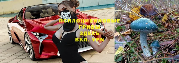 спиды Арсеньев