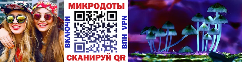 Галлюциногенные грибы мухоморы  Свирск 